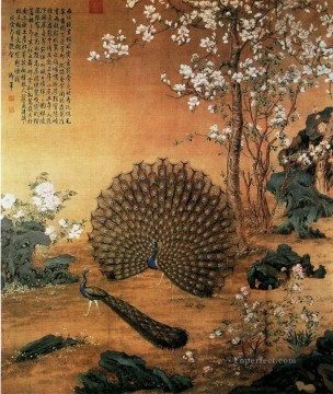 Lang shining Proudasa Peacock old Chinese Oil Paintings